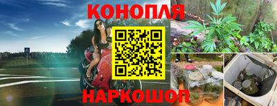 ALPHA PVP Партизанск