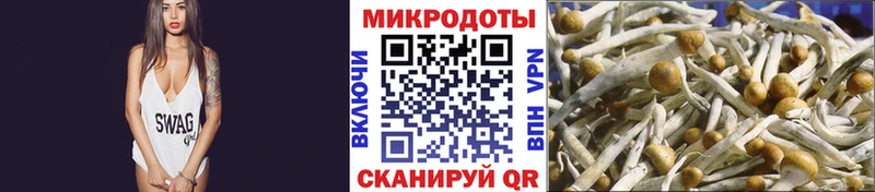 Галлюциногенные грибы GOLDEN TEACHER гидра ТОР Тында