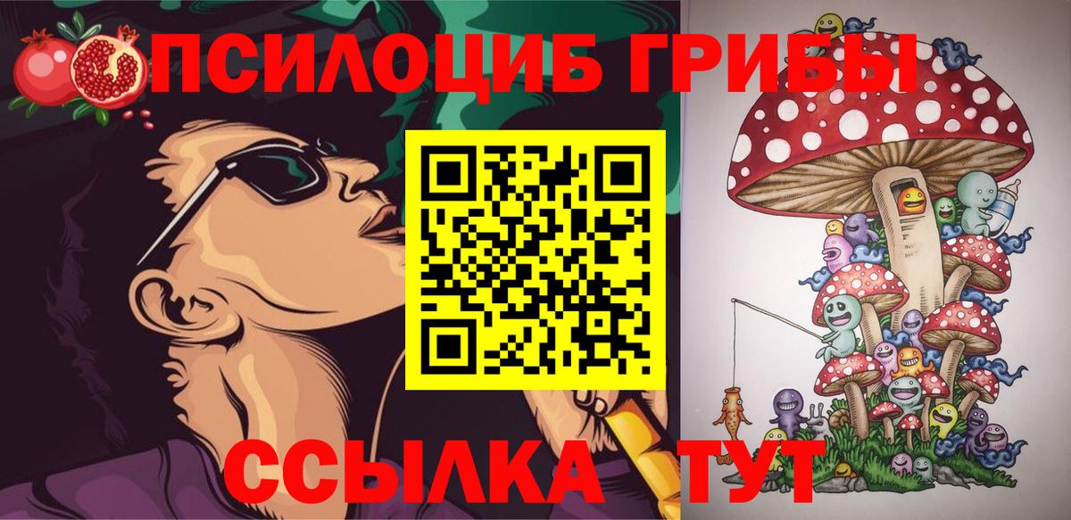 Тында  Галлюциногенные грибы MAGIC MUSHROOMS  Вход с VPN  Галлюциногенные грибы Psilocybe 