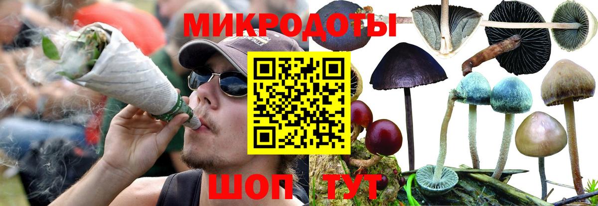 Псилоцибиновые грибы GOLDEN TEACHER Тында